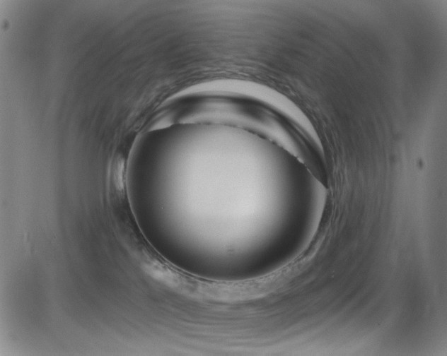 X0000083020041200702021126