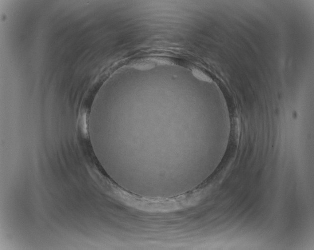 X0000083020042200702021126