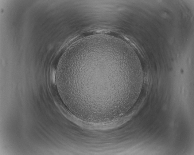 X0000083020046200702021125