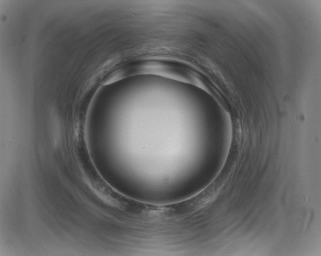 X0000083020072200702021125