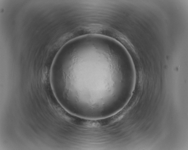 X0000083020073200702021125