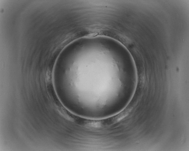X0000083020081200702021125