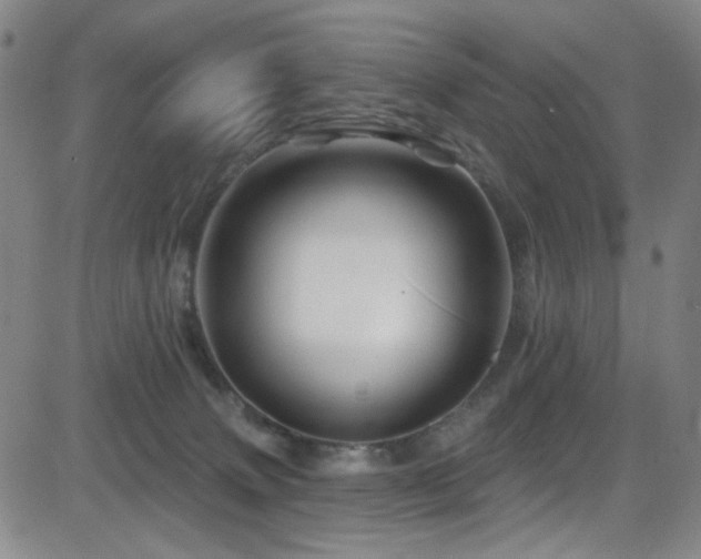 X0000083020083200702021125