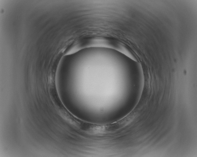 X0000083020084200702021125