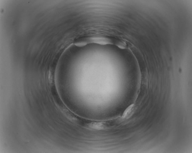 X0000083020086200702021125