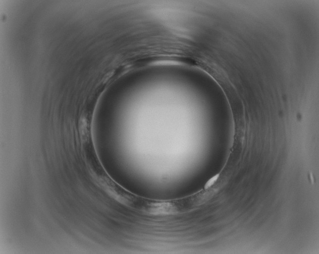 X0000083020087200702021125