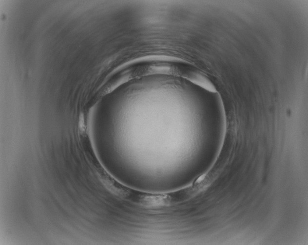 X0000083020089200702021125