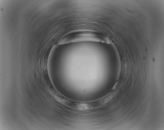 X0000083020091200702021125