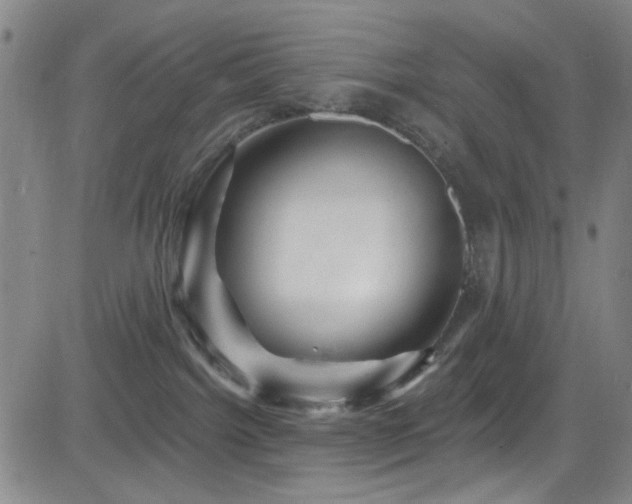 X0000083020092200702021125