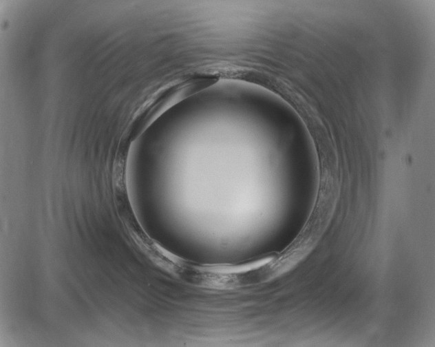 X0000083020096200702021125