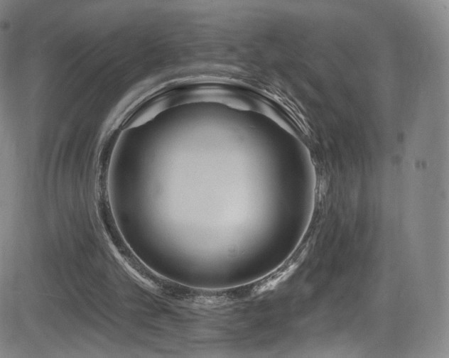 X0000083020101200702021125