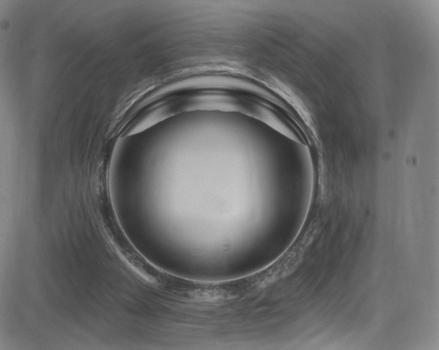X0000083020105200702021125
