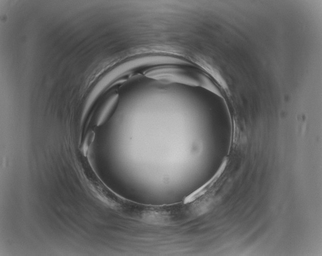 X0000083020109200702021124
