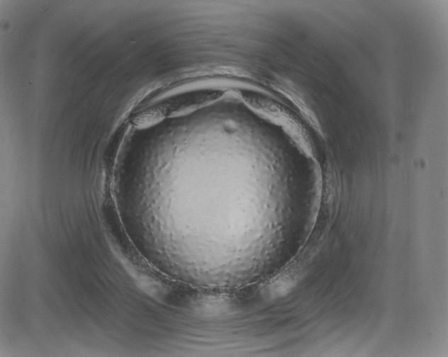 X0000083020110200702021124