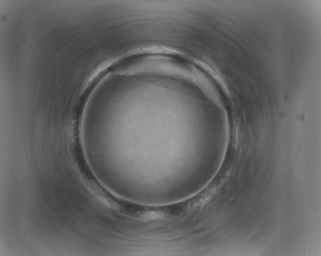 X0000083020111200702021124