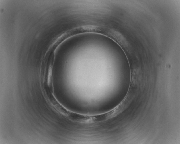 X0000083020116200702021124