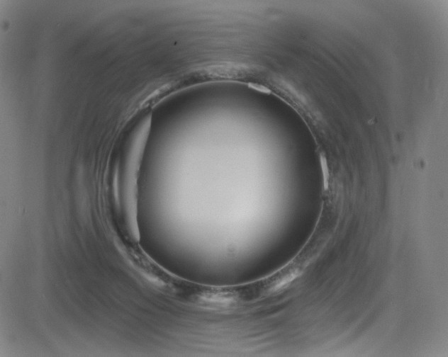 X0000083020117200702021124