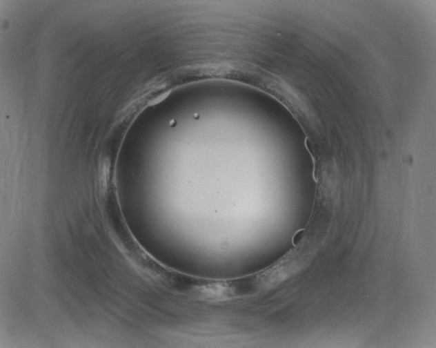 X0000083020118200702021124