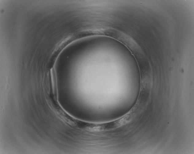 X0000083020120200702021124