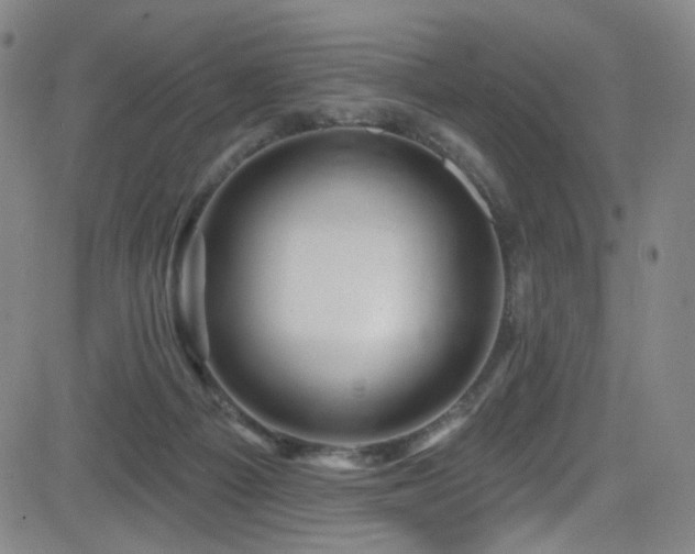 X0000083020121200702021124