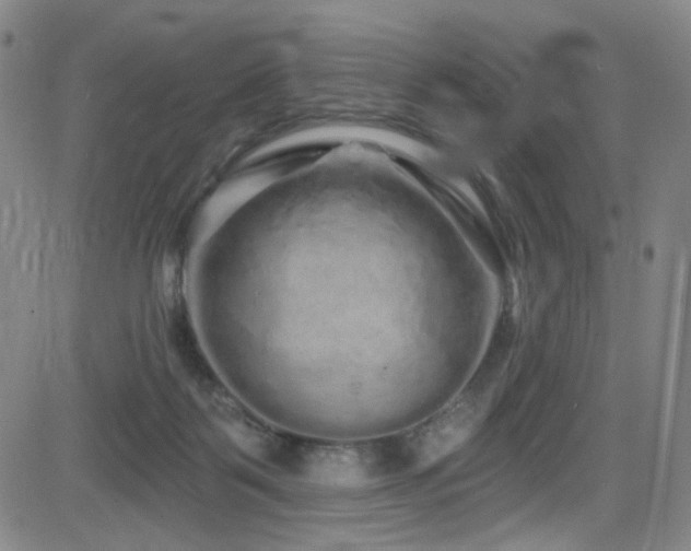 X0000083020123200702021124