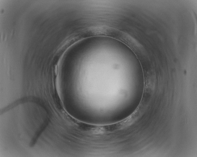 X0000083020124200702021124