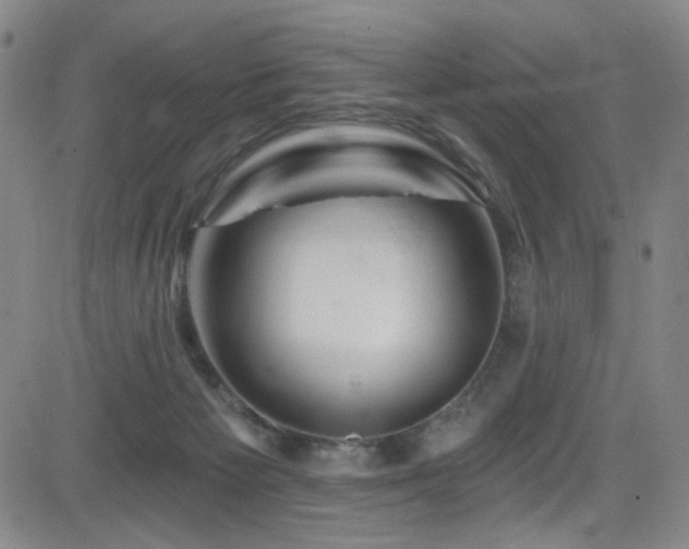 X0000083020125200702021124