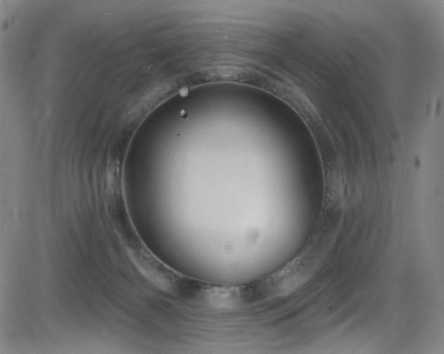 X0000083020126200702021124