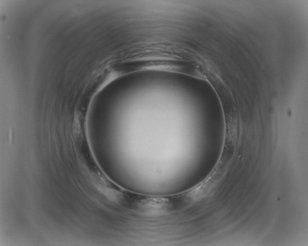 X0000083020128200702021124