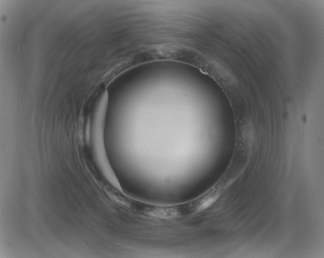 X0000083020129200702021124