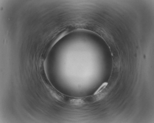 X0000083020133200702021124