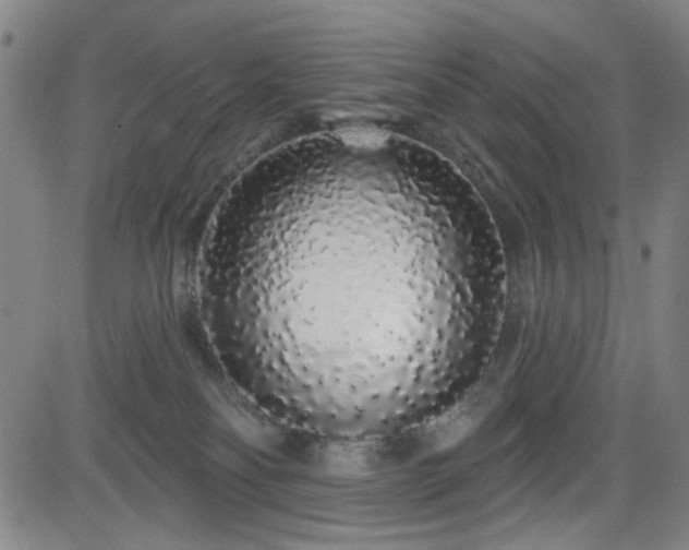 X0000083020134200702021124