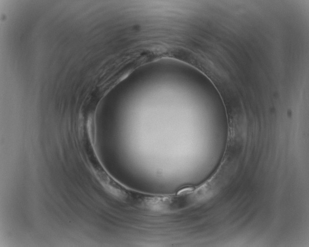 X0000083020136200702021124