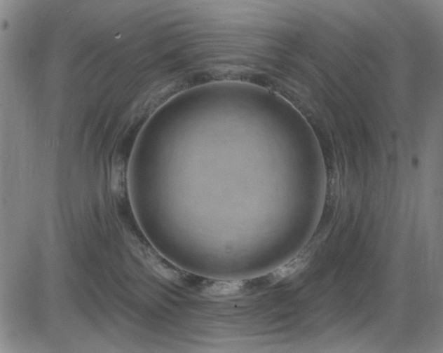 X0000083020138200702021124