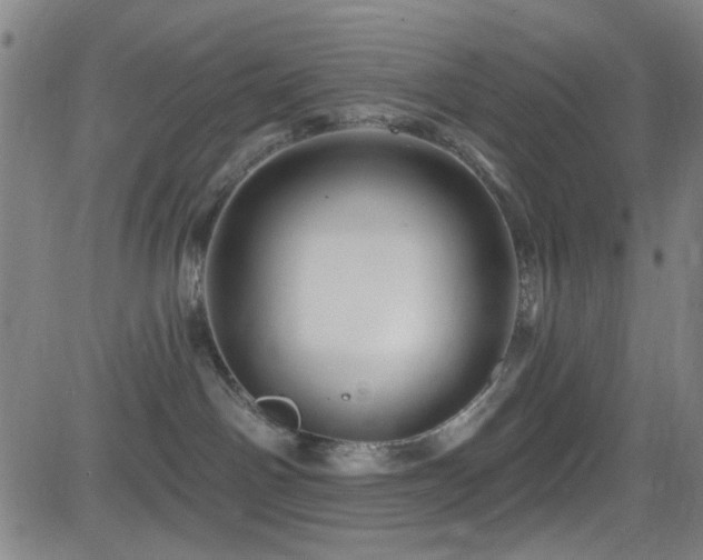 X0000083020142200702021124