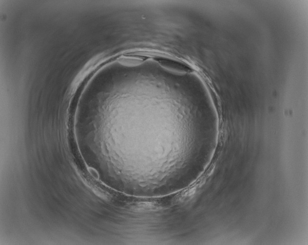 X0000083020151200702021123