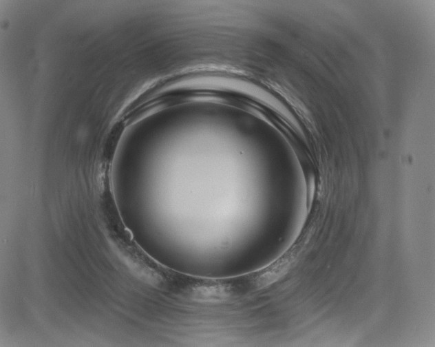 X0000083020160200702021123