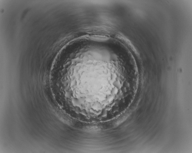 X0000083020161200702021123