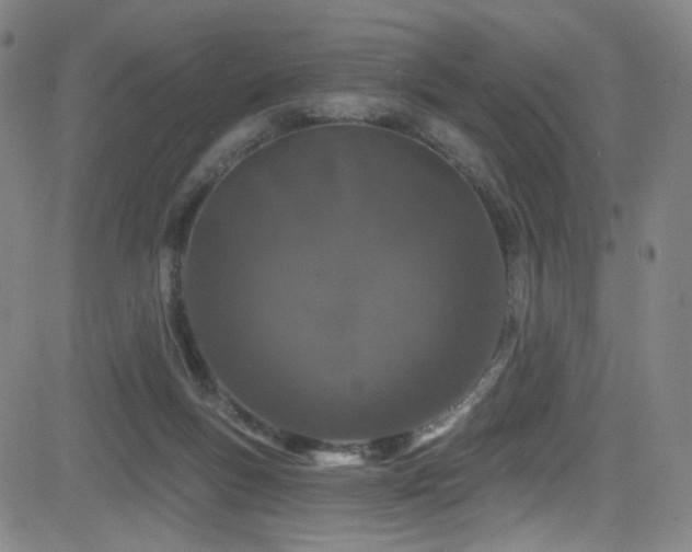 X0000083020167200702021123