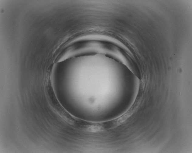 X0000083020168200702021123
