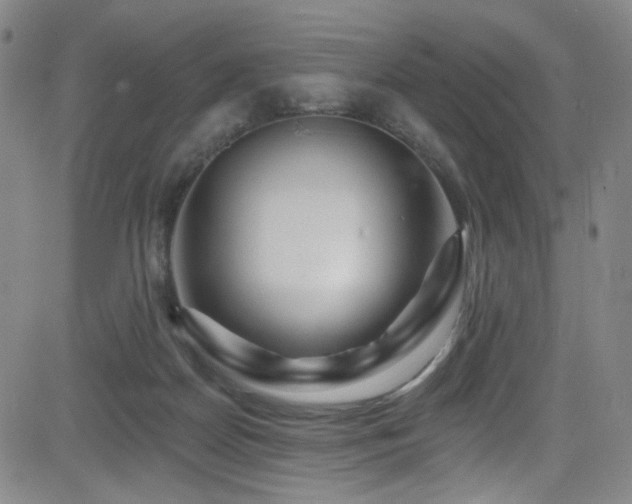 X0000083020170200702021124