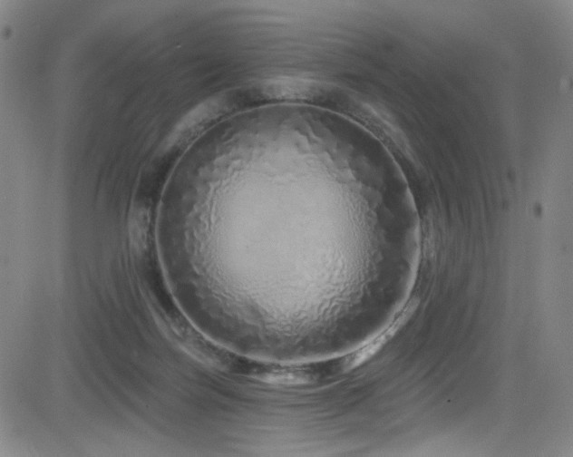 X0000083020171200702021124