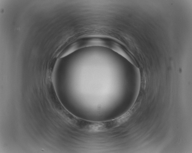 X0000083020172200702021124