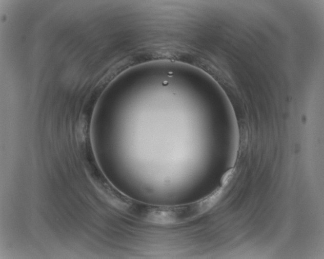 X0000083020174200702021124