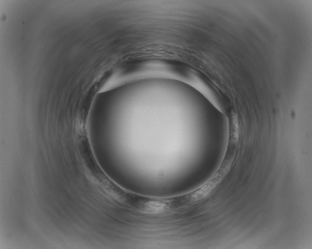 X0000083020176200702021124