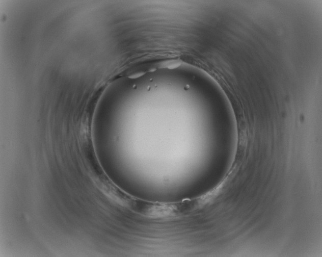 X0000083020179200702021124