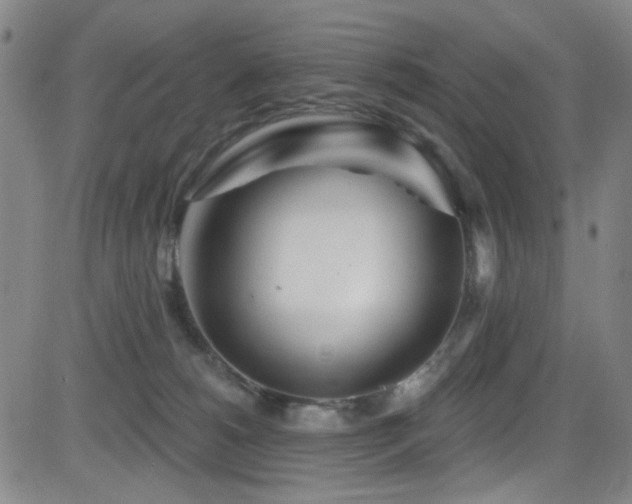 X0000083020180200702021124