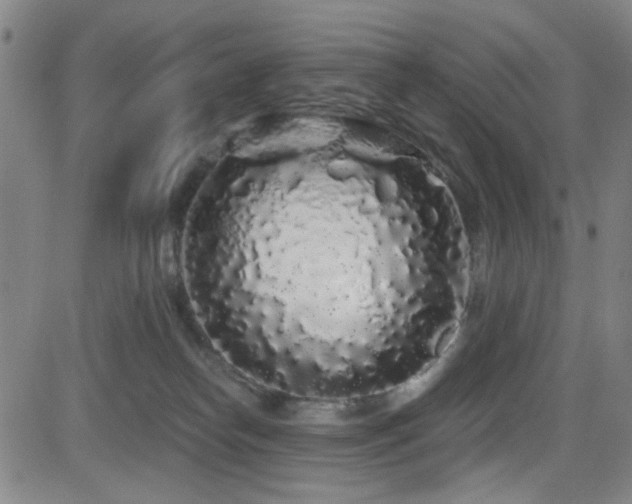 X0000083020182200702021124