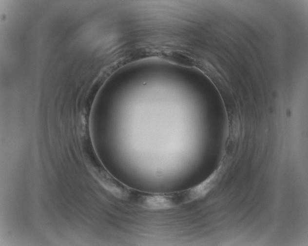 X0000083020183200702021124