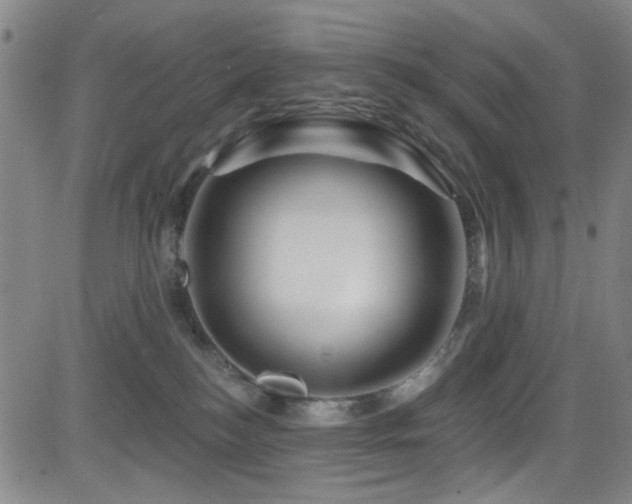 X0000083020184200702021124